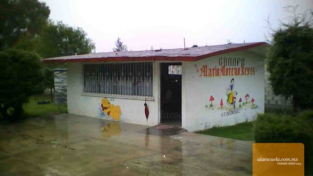 Entrada (vista previa)