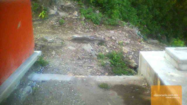 Entrada (vista previa)