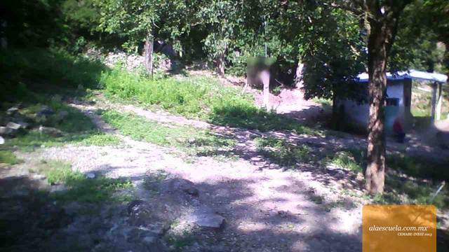 Entrada (vista previa)