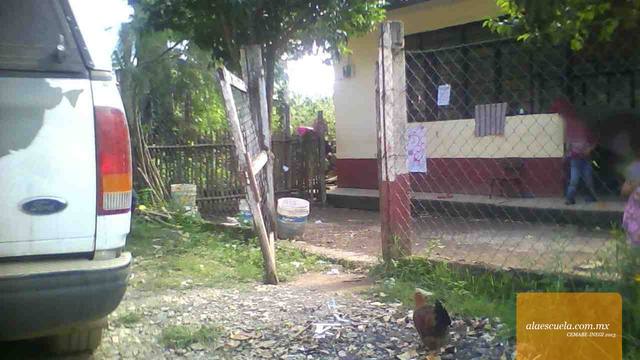 Entrada (vista previa)