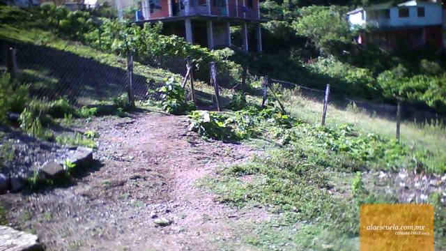 Entrada (vista previa)