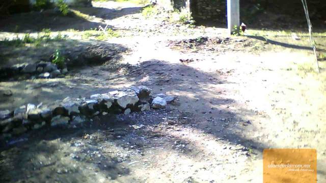 Entrada (vista previa)