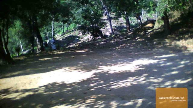 Entrada (vista previa)