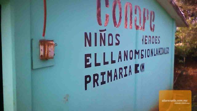 Entrada (vista previa)