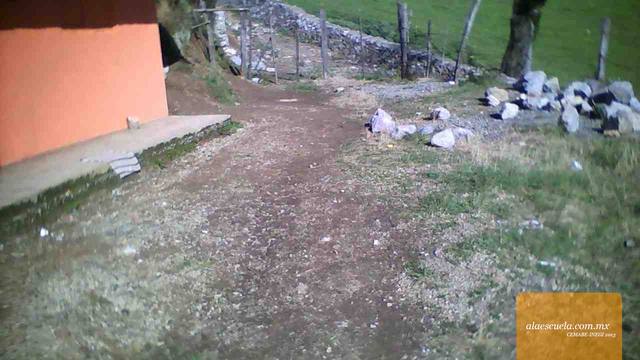 Entrada (vista previa)