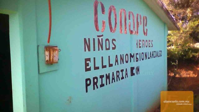 Entrada (vista previa)