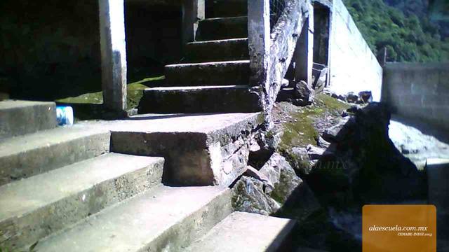 Entrada (vista previa)