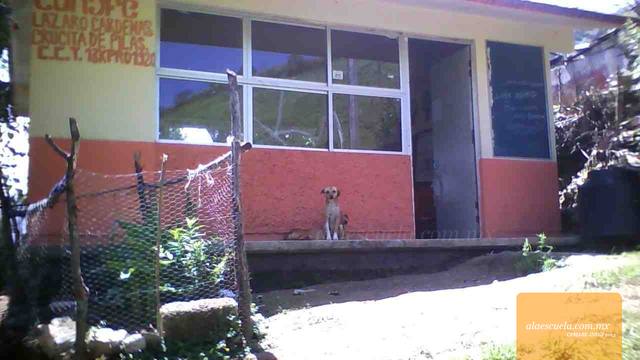 Entrada (vista previa)