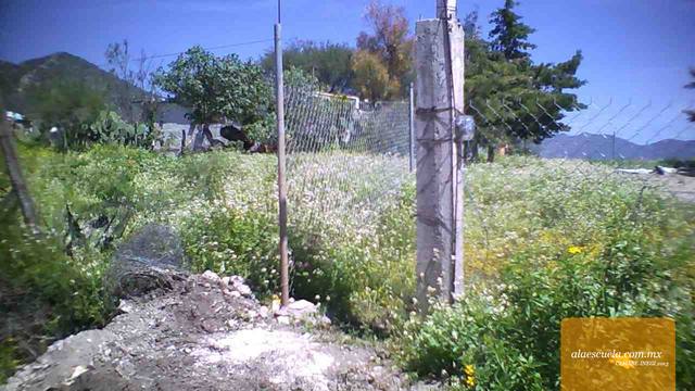 Entrada (vista previa)