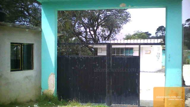 Entrada (vista previa)