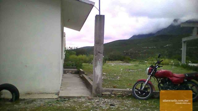 Entrada (vista previa)