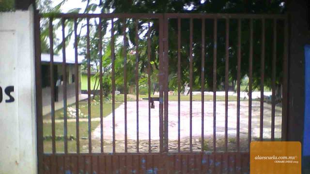 Entrada (vista previa)