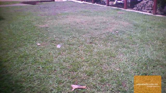 Áreas (vista previa)