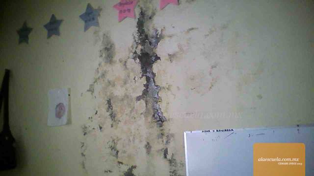 Aulas (vista previa)