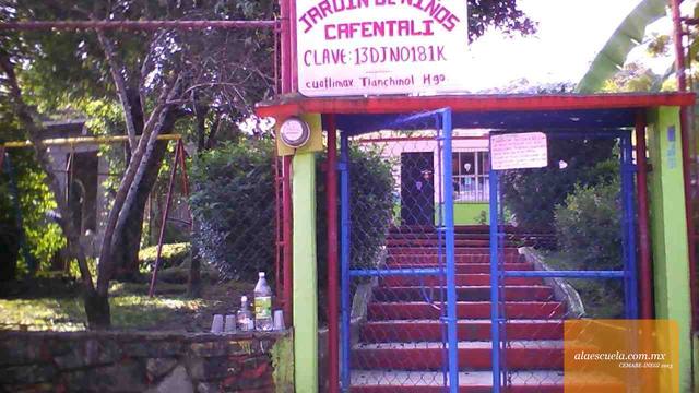 Entrada (vista previa)