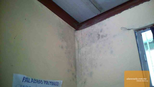 Aulas (vista previa)