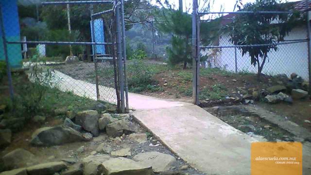 Entrada (vista previa)