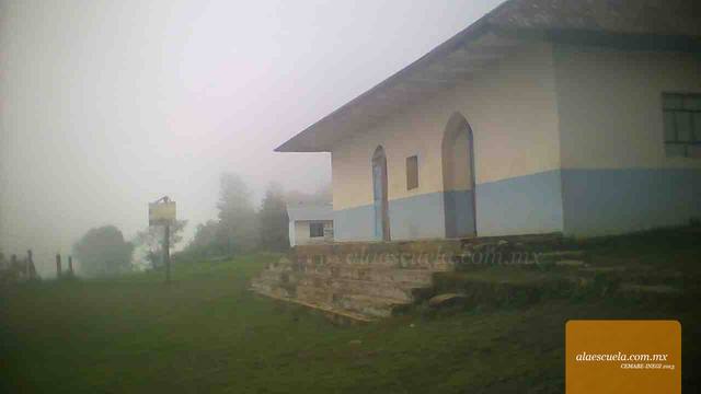 Entrada (vista previa)