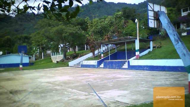 Entrada (vista previa)