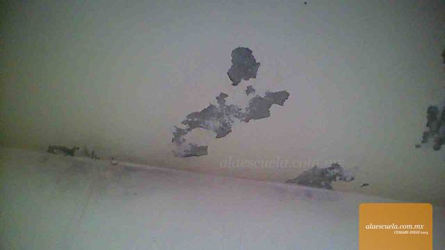 Aulas (vista previa)