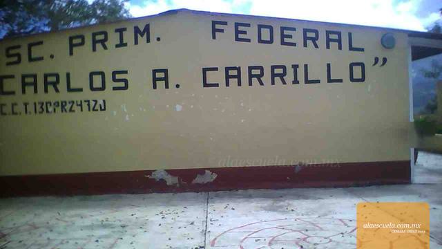 Entrada (vista previa)