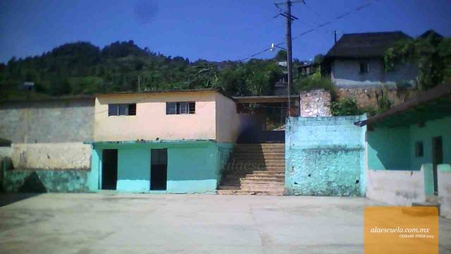 Entrada (vista previa)