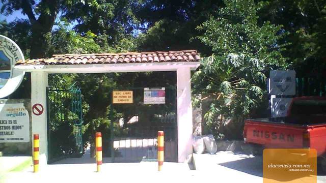 Entrada (vista previa)