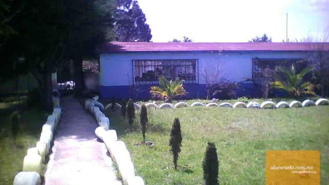 Entrada (vista previa)