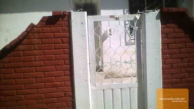 Entrada (vista previa)