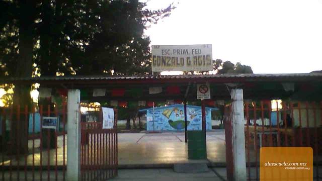 Entrada (vista previa)