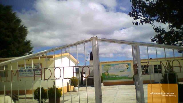 Entrada (vista previa)