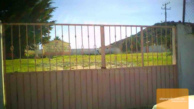 Entrada (vista previa)