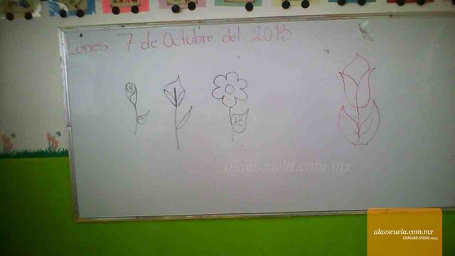 Áreas (vista previa)