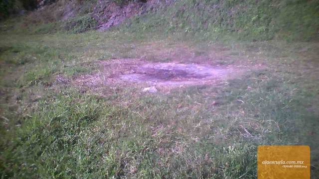 Áreas (vista previa)