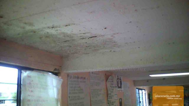 Aulas (vista previa)