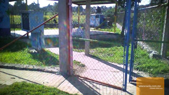 Entrada (vista previa)