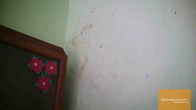 Aulas (vista previa)