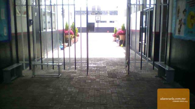 Entrada (vista previa)