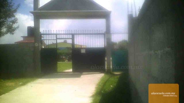 Entrada (vista previa)