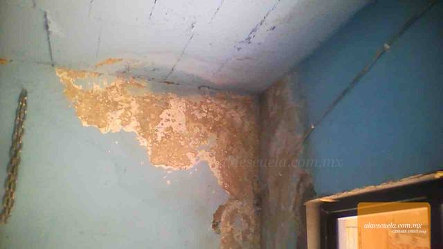 Aulas (vista previa)