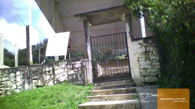 Entrada (vista previa)