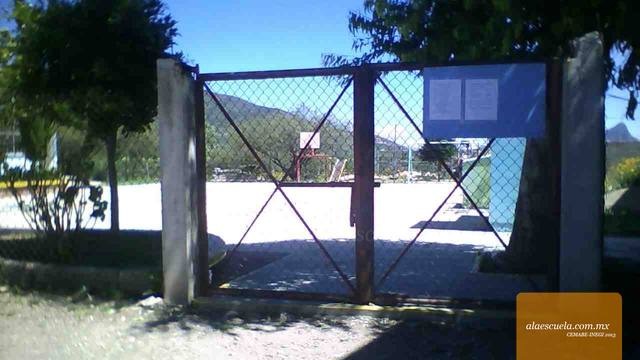 Entrada (vista previa)