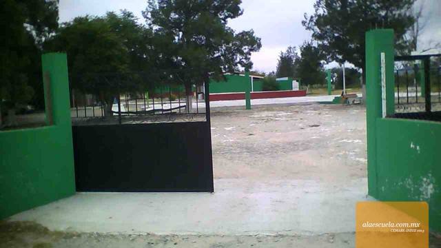 Entrada (vista previa)