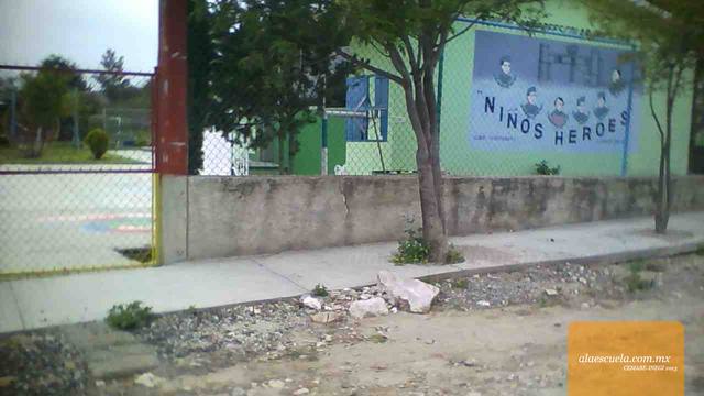 Entrada (vista previa)