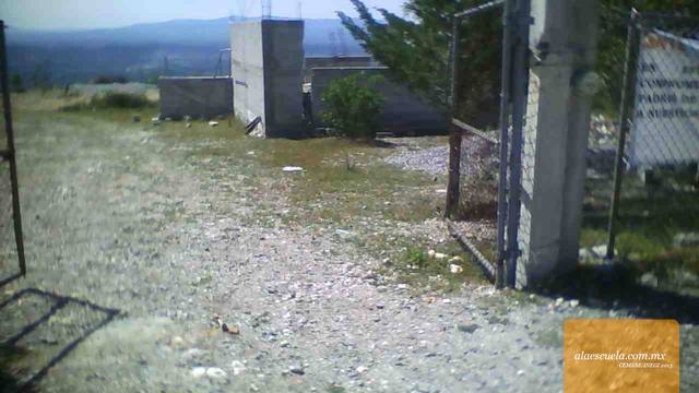 Entrada (vista previa)