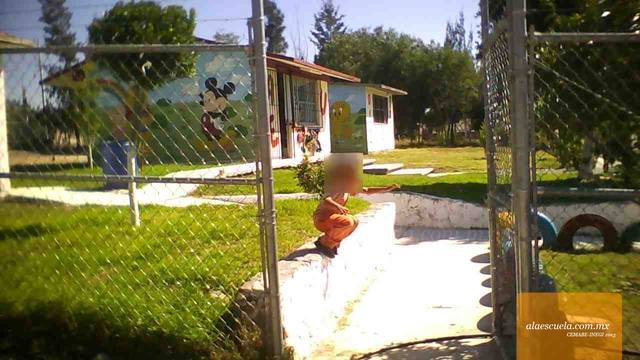 Entrada (vista previa)