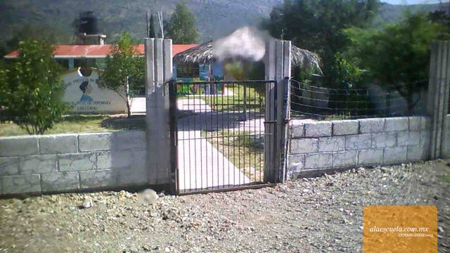 Entrada (vista previa)