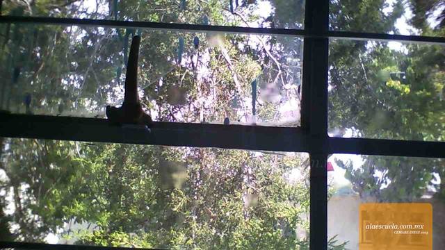 Aulas (vista previa)