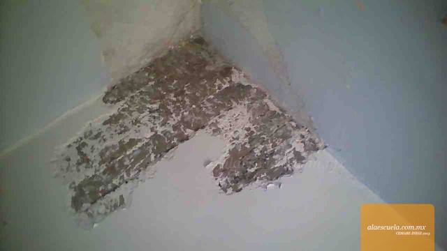 Aulas (vista previa)