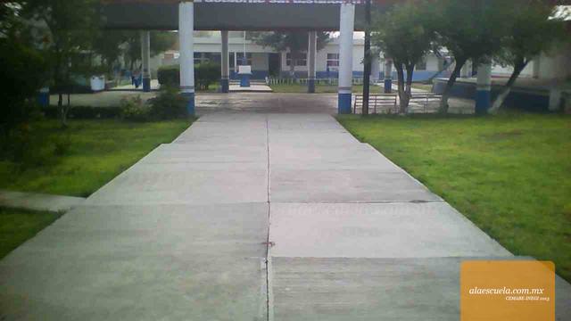 Entrada (vista previa)